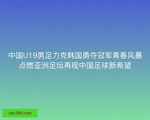 中国U19男足力克韩国勇夺冠军青春风暴点燃亚洲足坛再现中国足球新希望