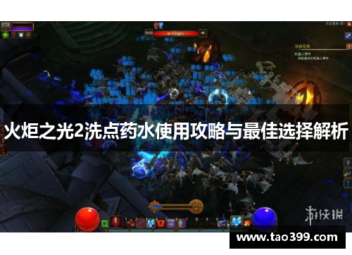 火炬之光2洗点药水使用攻略与最佳选择解析