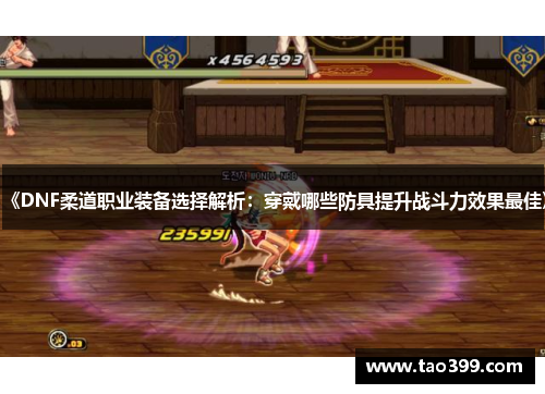 《DNF柔道职业装备选择解析：穿戴哪些防具提升战斗力效果最佳》