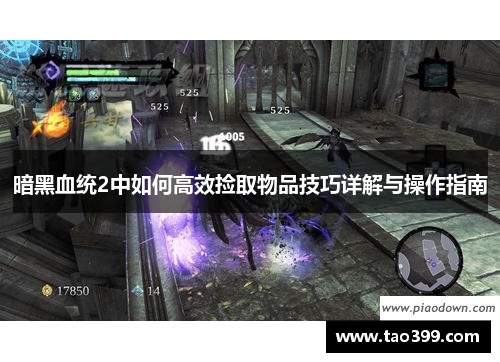 暗黑血统2中如何高效捡取物品技巧详解与操作指南